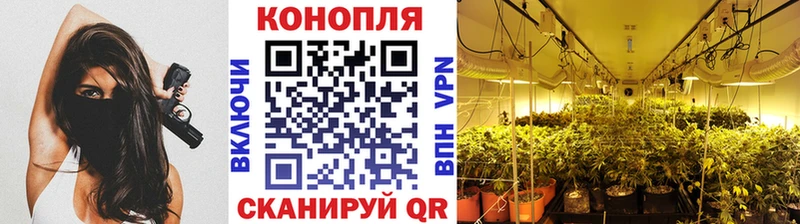 Как найти наркотики Дмитров КОКАИН  Амфетамин  МАРИХУАНА  Меф мяу мяу  Кетамин  Alpha PVP 