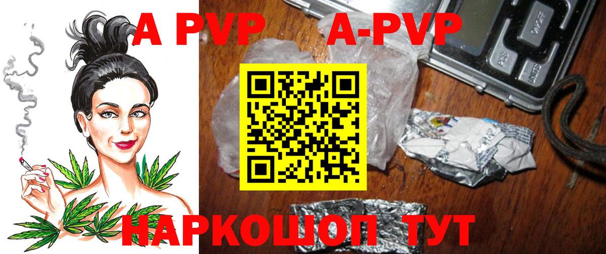 Альфа ПВП СК Дмитров