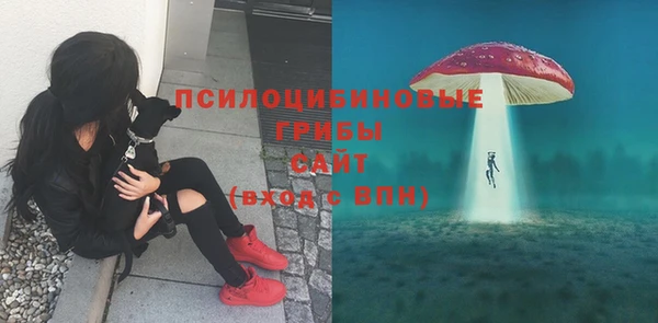 соль ск Алзамай