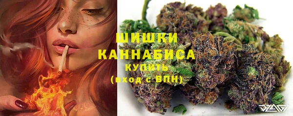 соль ск Алзамай