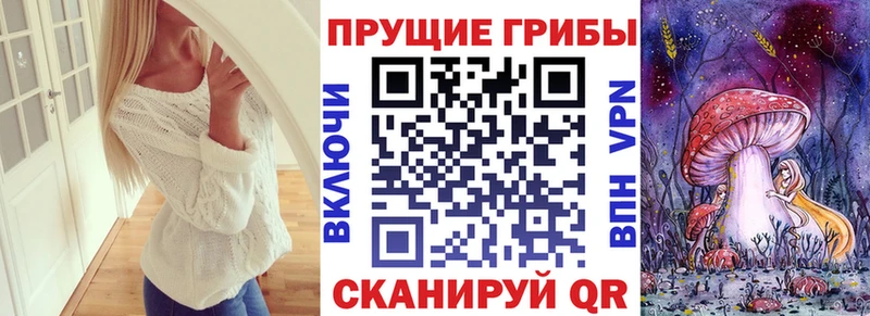 Галлюциногенные грибы мицелий  Дмитров 