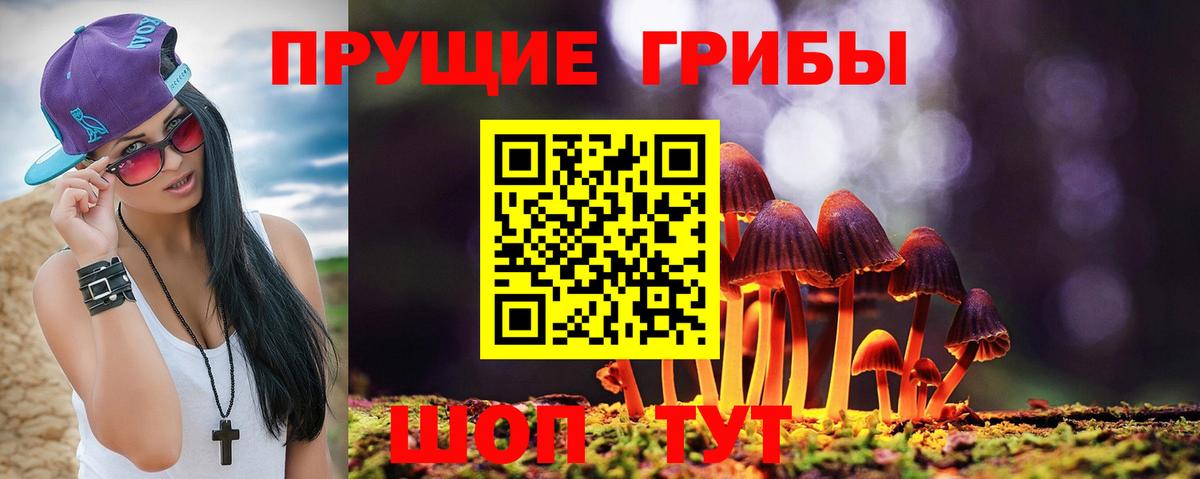 Галлюциногенные грибы ЛСД  Вход с VPN  Дмитров 
